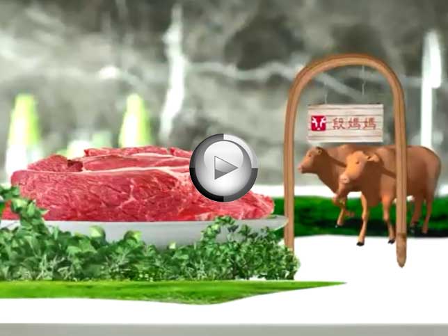 世联翻译公司完成“段妈妈牛肉”广告宣传片翻译制作